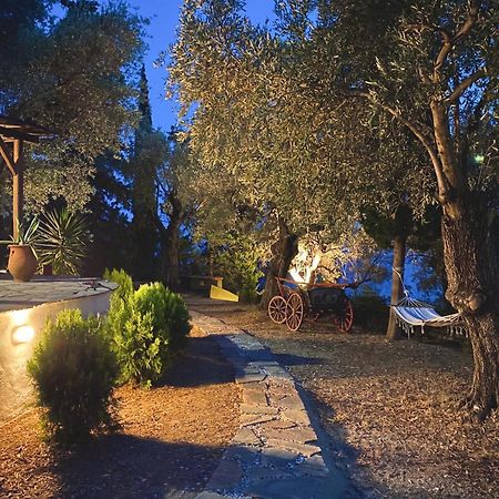 הוילה קאטו גצאה Sunset Of Pelion מראה חיצוני תמונה