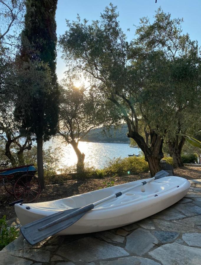 הוילה קאטו גצאה Sunset Of Pelion מראה חיצוני תמונה